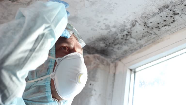 Best Biohazard Mold Removal  in Owensville, IN